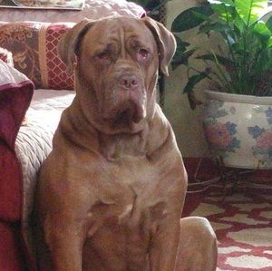 Meet your Posher, Cherrye